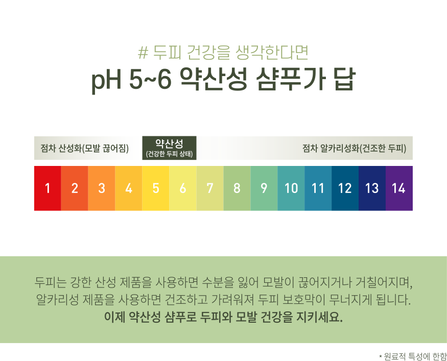 H5~6 약산성 삼푸